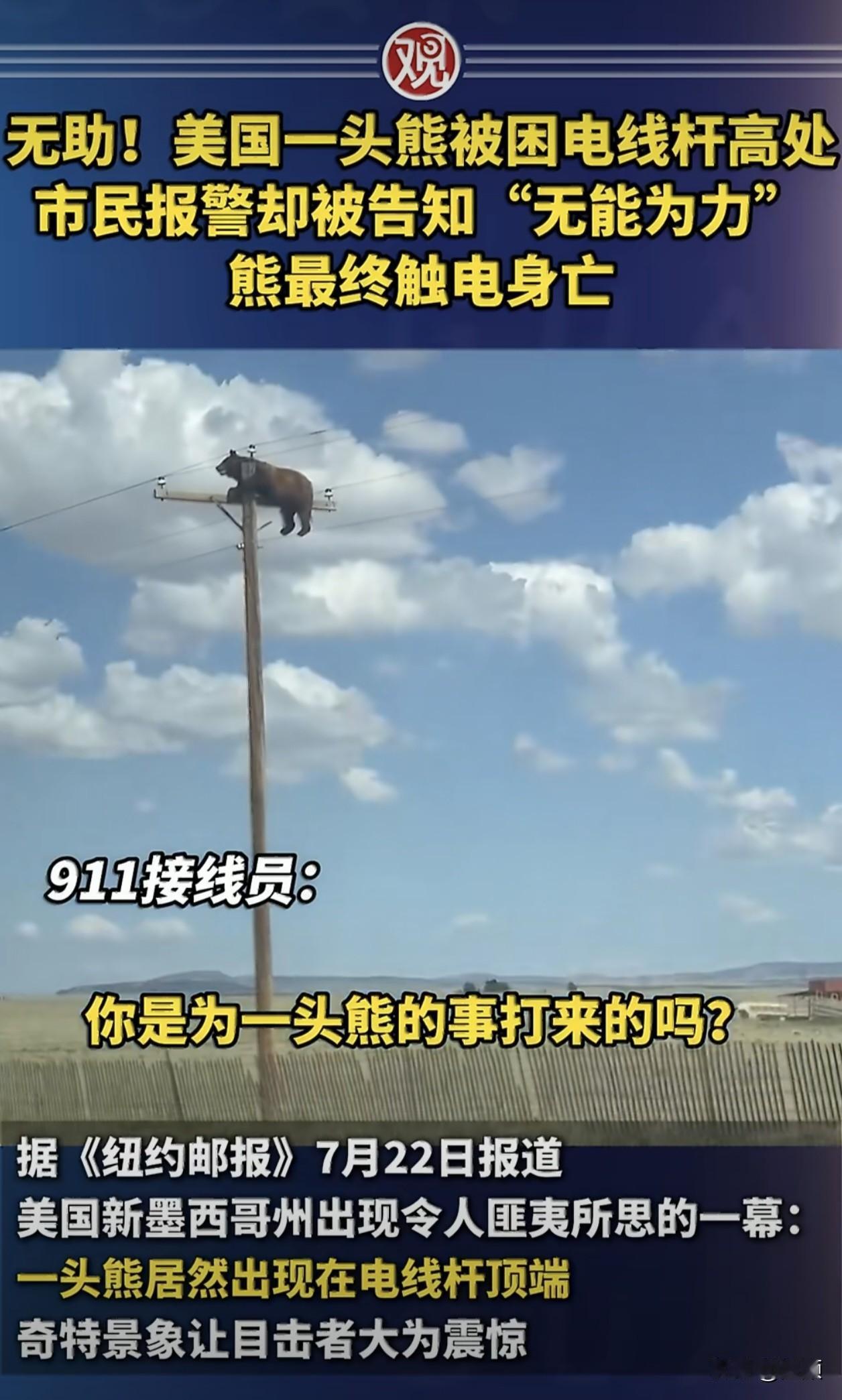 据《纽约邮报》7月22日报道，新墨西哥州一头黑熊受惊爬上高压电线杆顶端，被困在高
