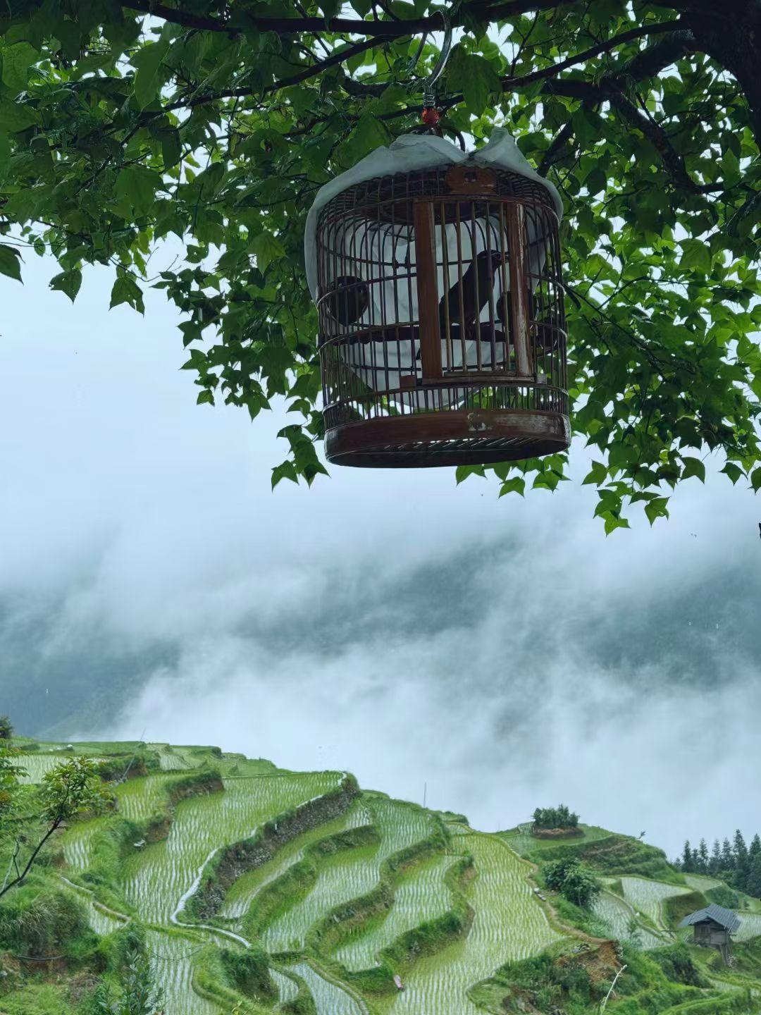 今天打开抖音，全是在晒买了黄金白银赚了多少多少钱，准备卖房全仓猛干，还有00后1