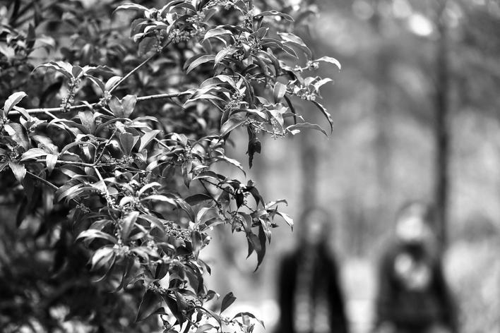 好消息! 暖意即将回归, “秋高气爽”要来了