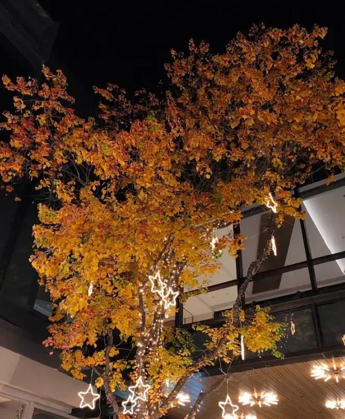 刷到个新词叫“洗房”，说是有姑娘婚后劝老公把婚前全款房卖了，再一起贷款买套新的，