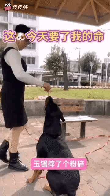 哎呀我去，爆装备了[捂脸哭]