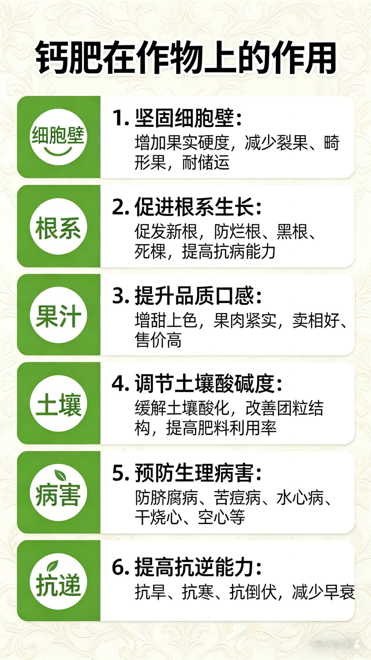 蔬菜补钙总没效果？90%的人搞错了吸收规律！种菜的朋友一定遇到过这些烦心事：番