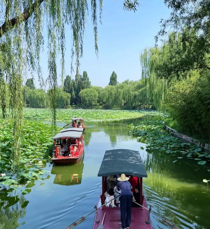 北京紫竹院公园荷花渡清荷飘逸当蝉鸣声穿透紫竹院公园的浓绿竹林，园内荷花渡的摇橹