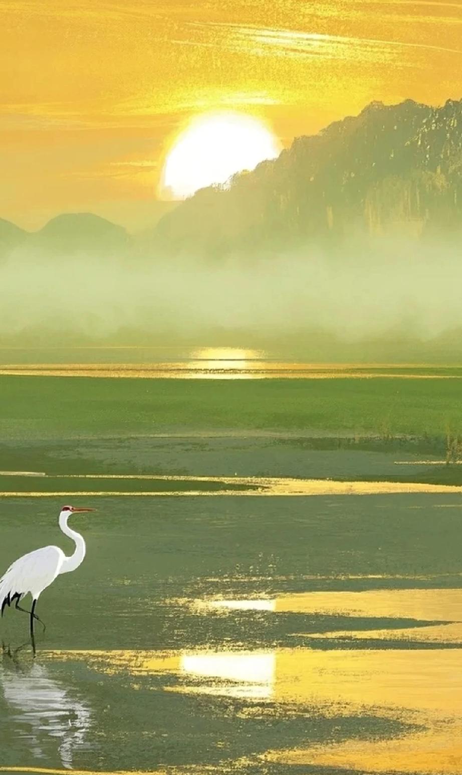 当你觉得生活无趣就来趟菜市场，生活就像逛菜市场鲜的、蔫的、烂的，都摊在你面前