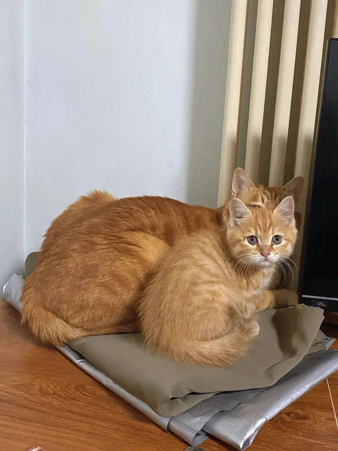 都说女儿像爸爸，我看过像的，没看过这像的[捂脸哭]