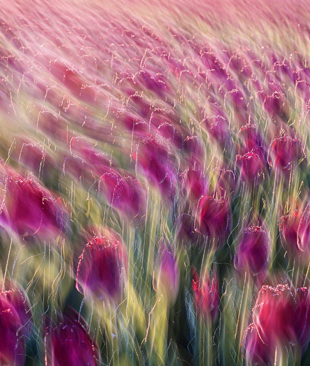 成大事者，不外传的心计：1、翻脸，是解决人际矛盾的最佳方式。2、捧杀，是毁掉一个