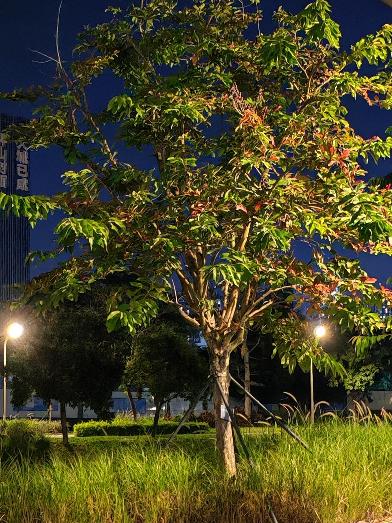 你们见到退休的领导,会打招呼吗?见到退休的领导，打个招呼有何妨？领导也是人，退休