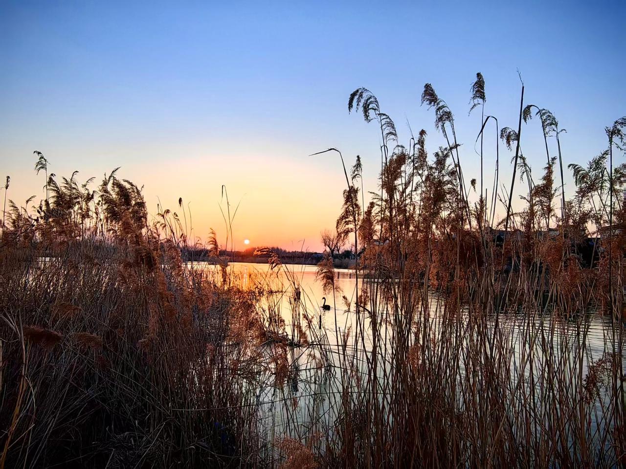 马上要退休了，终于悟透了一件事：只要不出门、不跟人打交道，就能攒下养老钱。年