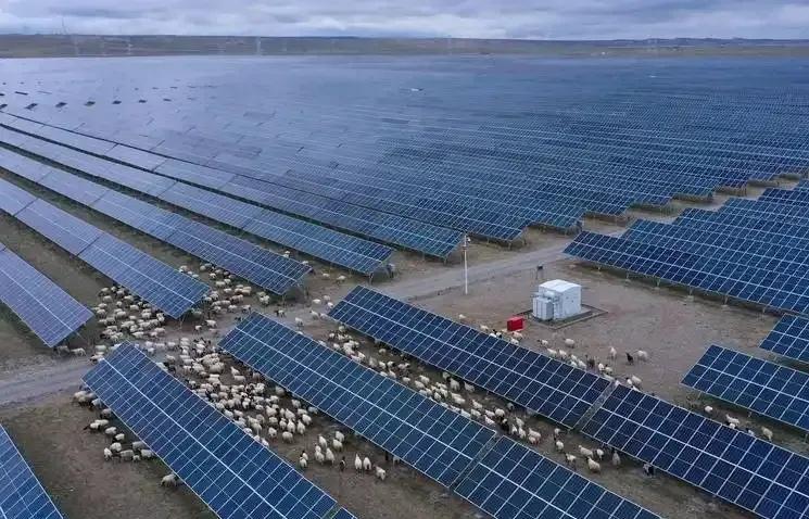 万万没想到，中国基建闹了个大“乌龙”，本打算耗资3亿在荒漠建个发电厂。没想到10