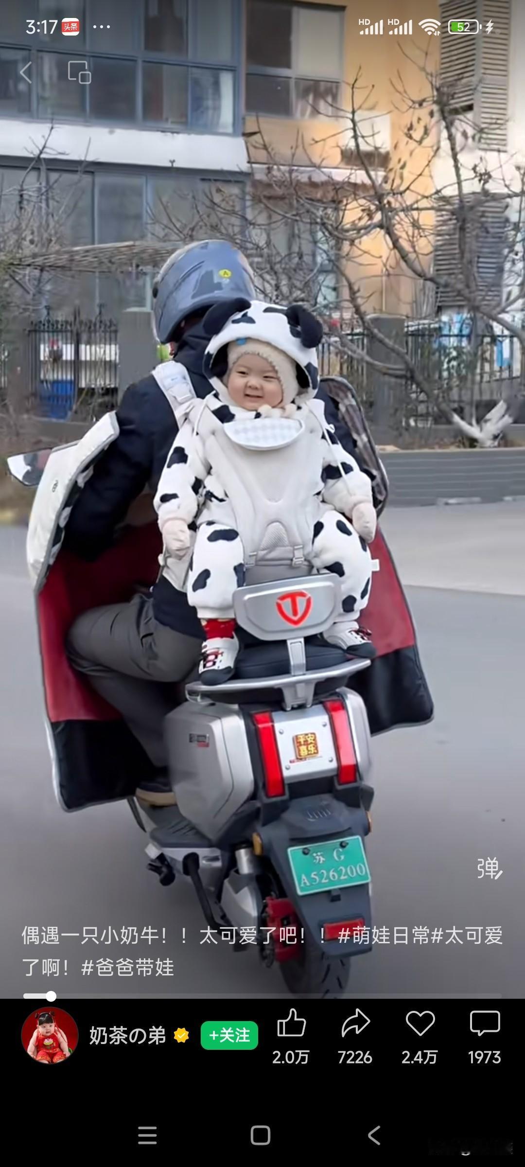 电动车上的“小奶牛”，萌化街头！爸爸骑着电动车，后座的“小奶牛”宝宝火了！奶