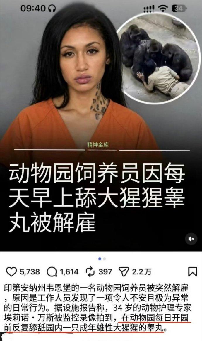这，这，这……这是物种多样性，还是他们在进化过程中走岔了路[汗]……