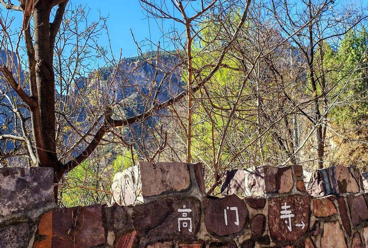 被蛇咬了怎么办？上世纪八十年代我读初中时，我们学校请来了一位游走江湖的医生，集