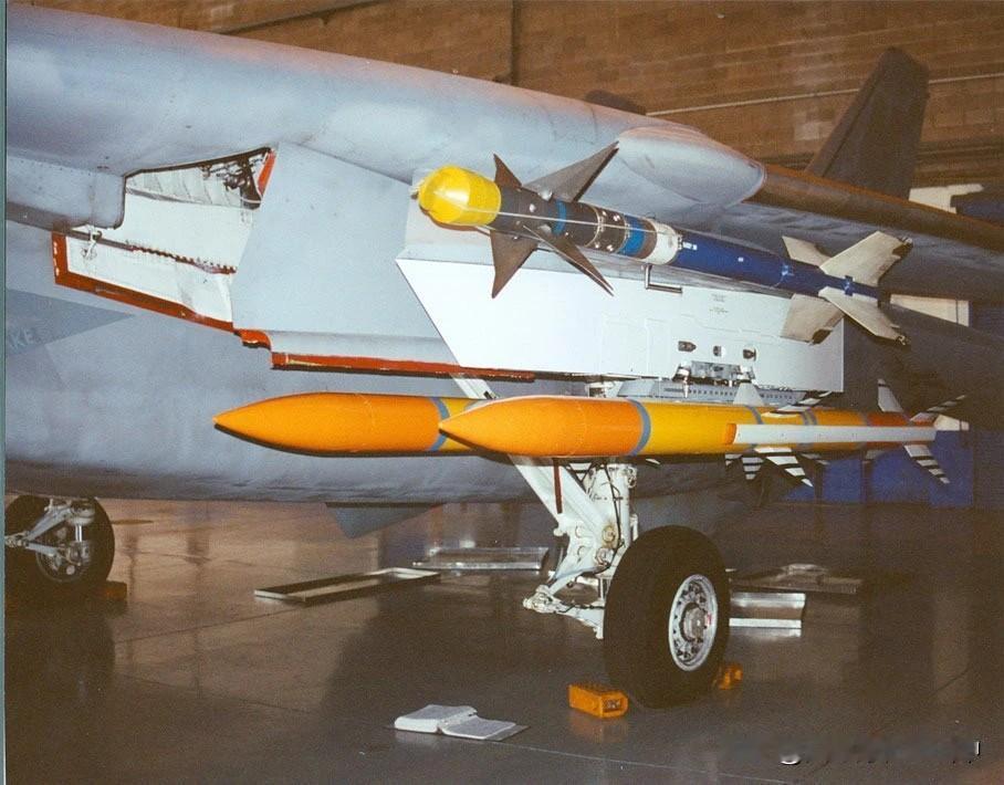 F-14D的AIM-120冷战后期的F-14D“雄猫”战机曾有个大胆改进，