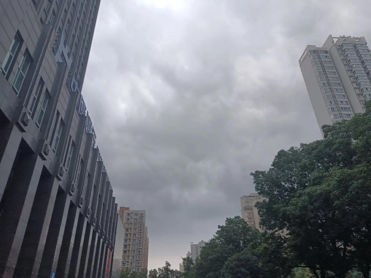 没有最高，只有更高。上市公司财务造假金额再次刷新，*ST高鸿用了九年时间，虚增