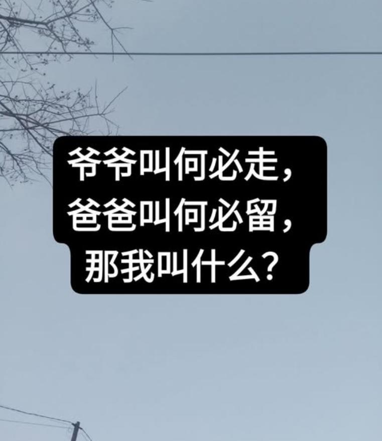 假如这家人姓何，爷爷叫何必走，爸爸叫何必留。那么你们觉得小孩会叫何什么？