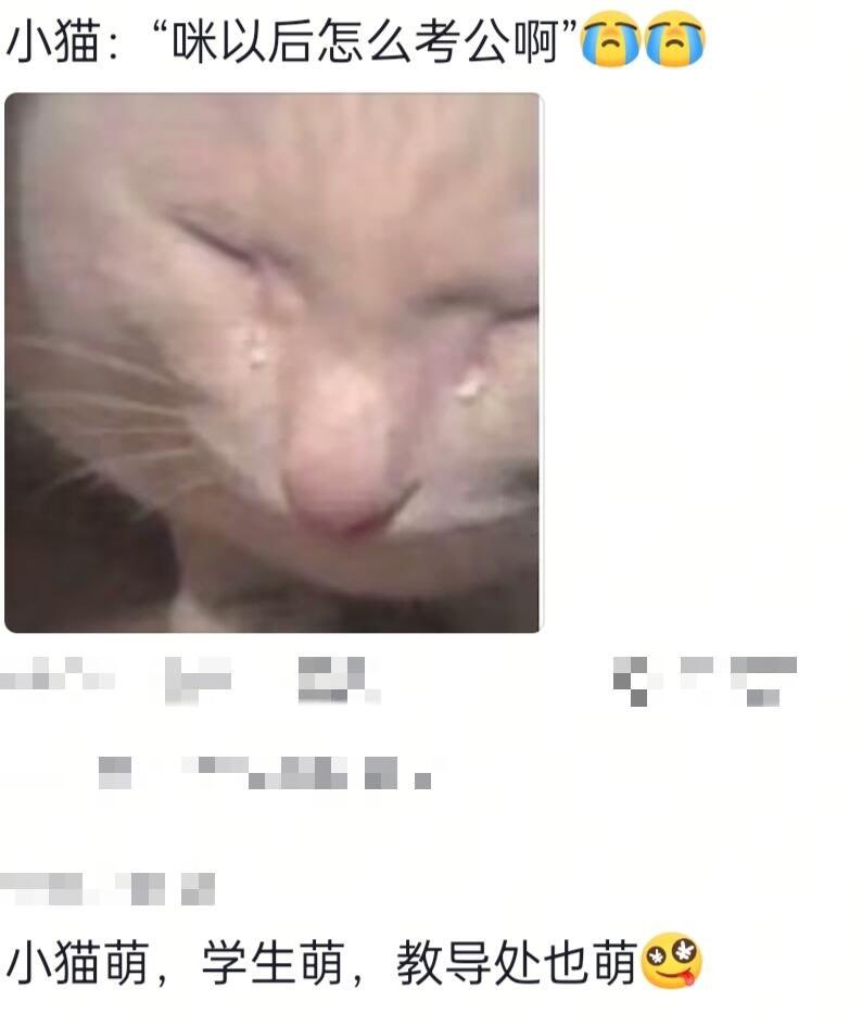 咪：这我还能考大学吗😭咪只是去拯救溺水的鱼，咪有错吗