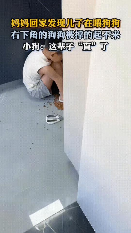 一位妈妈刚推开家门，瞬间被眼前的场景惊住。儿子竟将2.5公斤的整袋狗粮全部拆开，