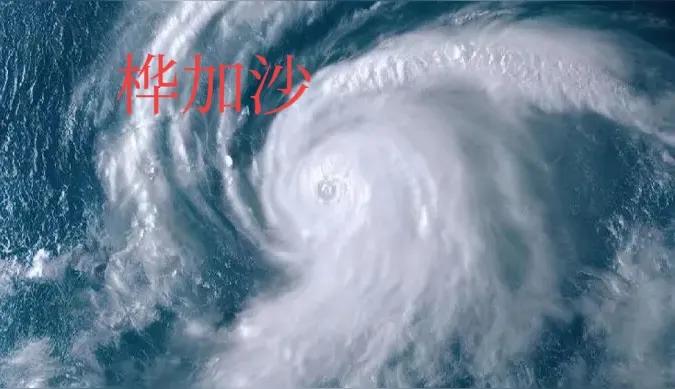 台风桦加沙太恐怖了，来广东二十年了，从未见过！一夜的狂风，吹得呼呼响，大暴雨不停