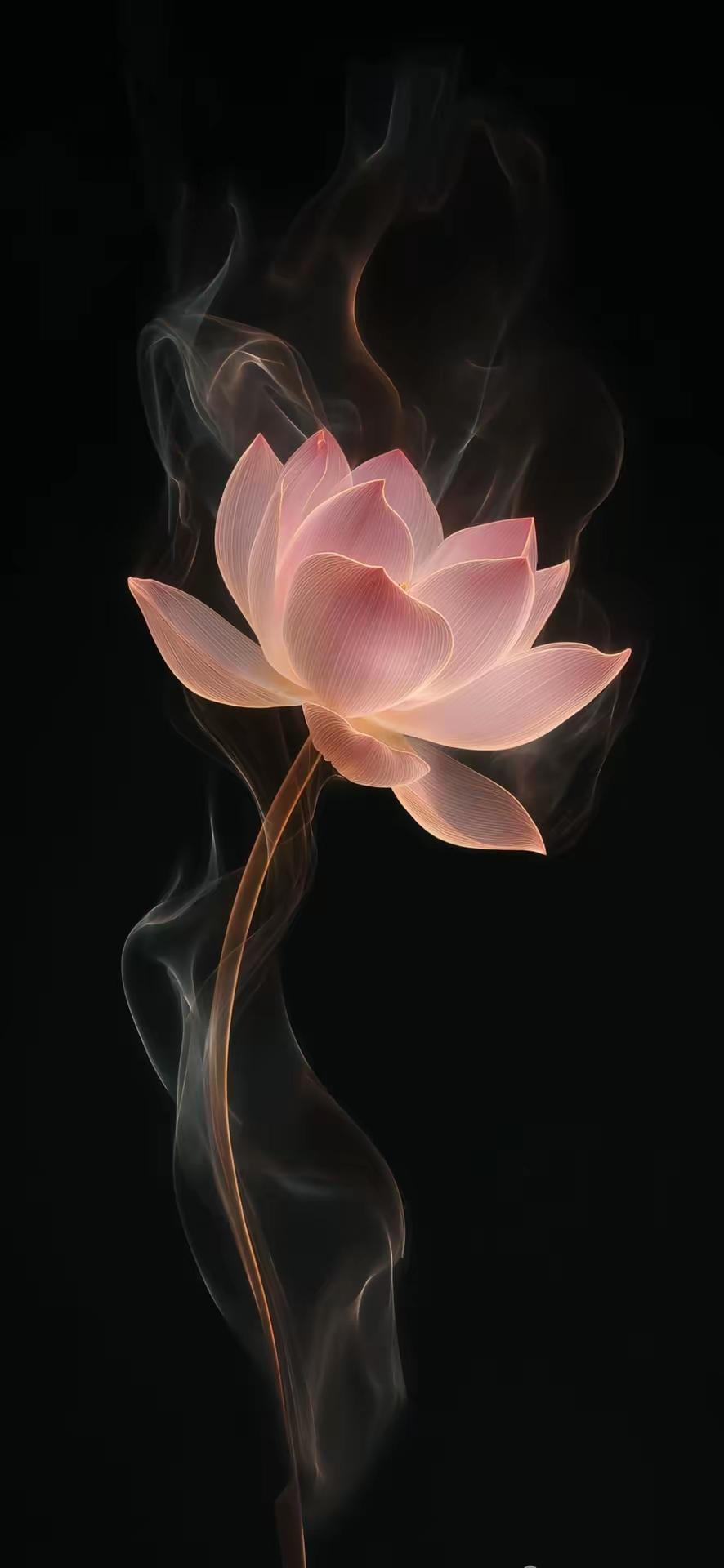 手机壁纸～以金缕为骨，以流光为衣，于暗夜里绽放灵韵，于无声中自有乾坤，每一抹