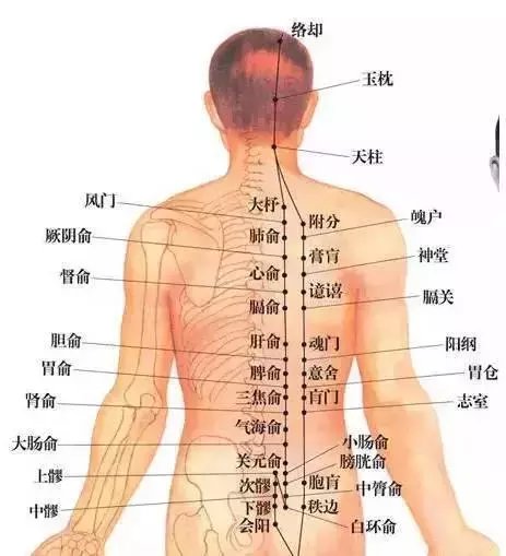 常艾灸10大养生要穴, 让你百病尽消, 延年益寿