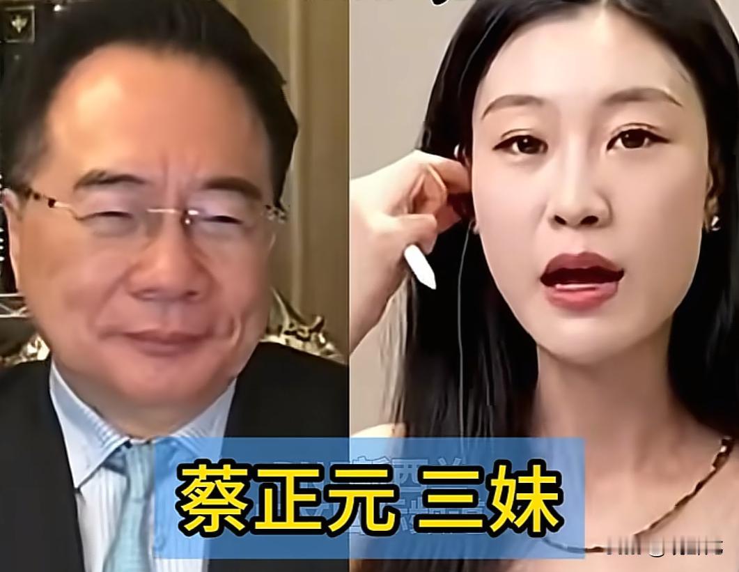 蔡正元：以后不要谈统一了，回家睡觉吧！蔡正元又又又又怪起了对岸，直言高金素梅