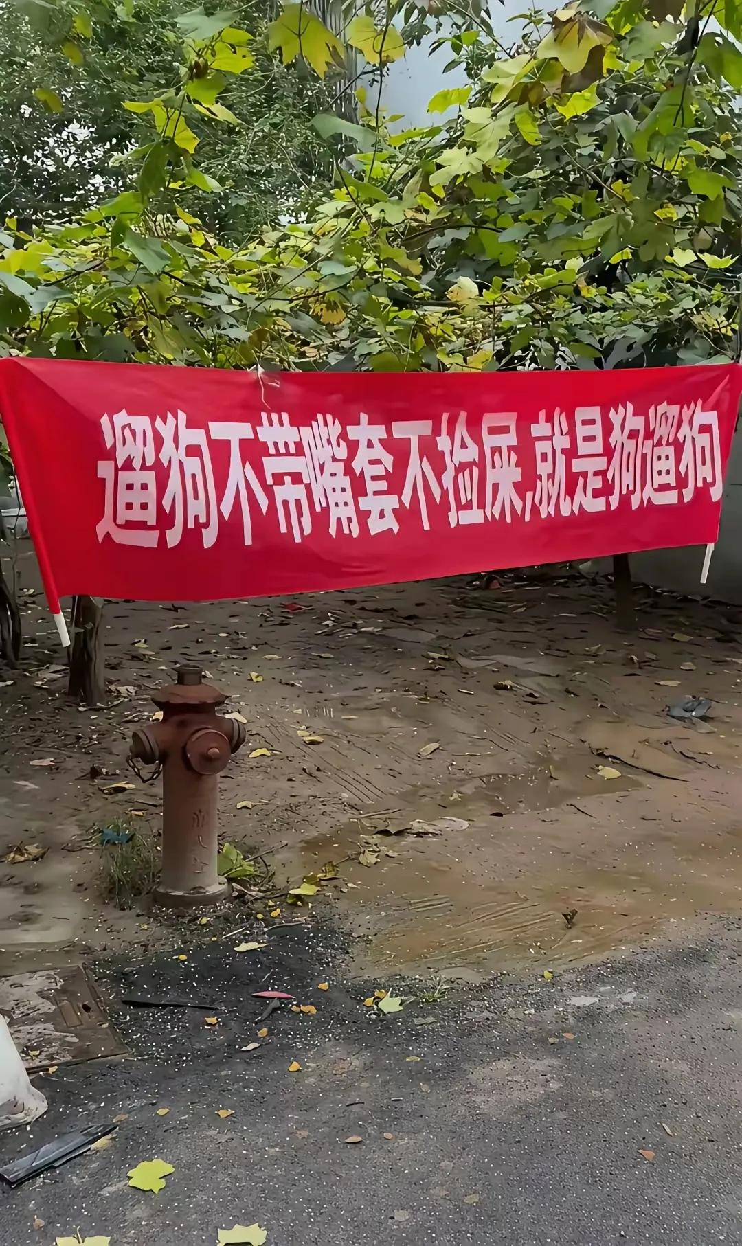 物业挂出了这横幅，小区养狗人士都不服，说这样太侮辱人了，大家帮看看，挂这样的横幅