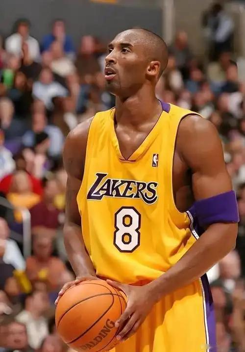 兄弟们，今天聊个扎心的事实。咱把NBA历史前二十的大神拉出来，乔丹、詹姆斯、