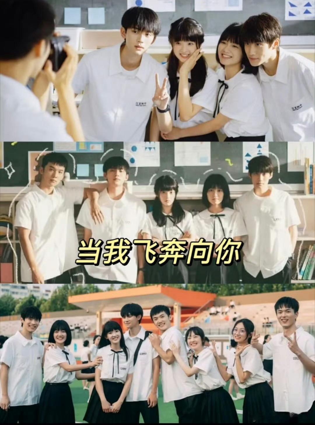 谁能懂真的很爱猫的树拍摄的镜头，我不允许有人忤逆猫叔，在小甜剧这块儿猫的树绝对权