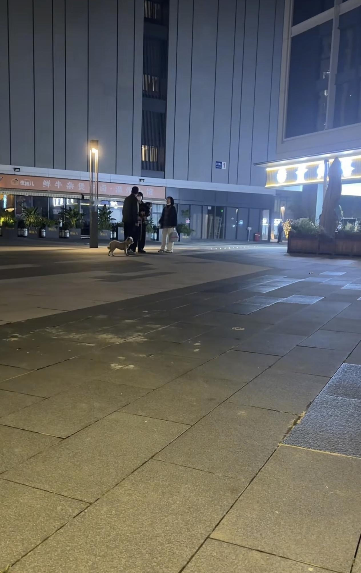 真是大千世界无奇不有！3月17日，浙江杭州。两女子当街对一遛狗的大爷破口大骂，骂