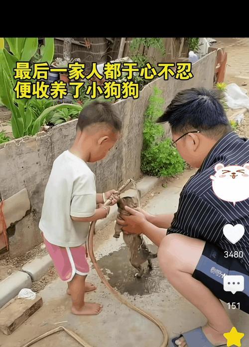 解释不清啦！湖南，有一家人出去游玩的时候，男孩瞧见一只饿得缩成一团的流浪狗，就顺