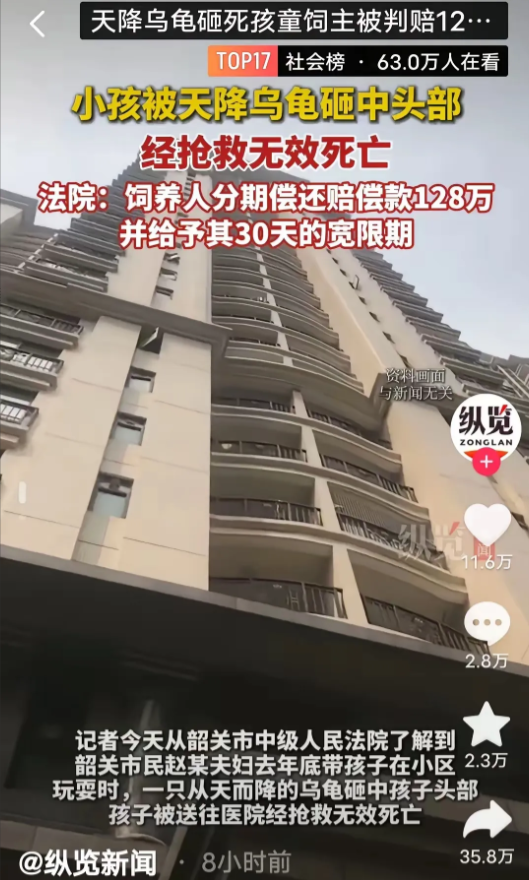 张某现在整宿睡不着觉。他怎么也没料到，养了七年的乌龟会从21楼阳台掉下去