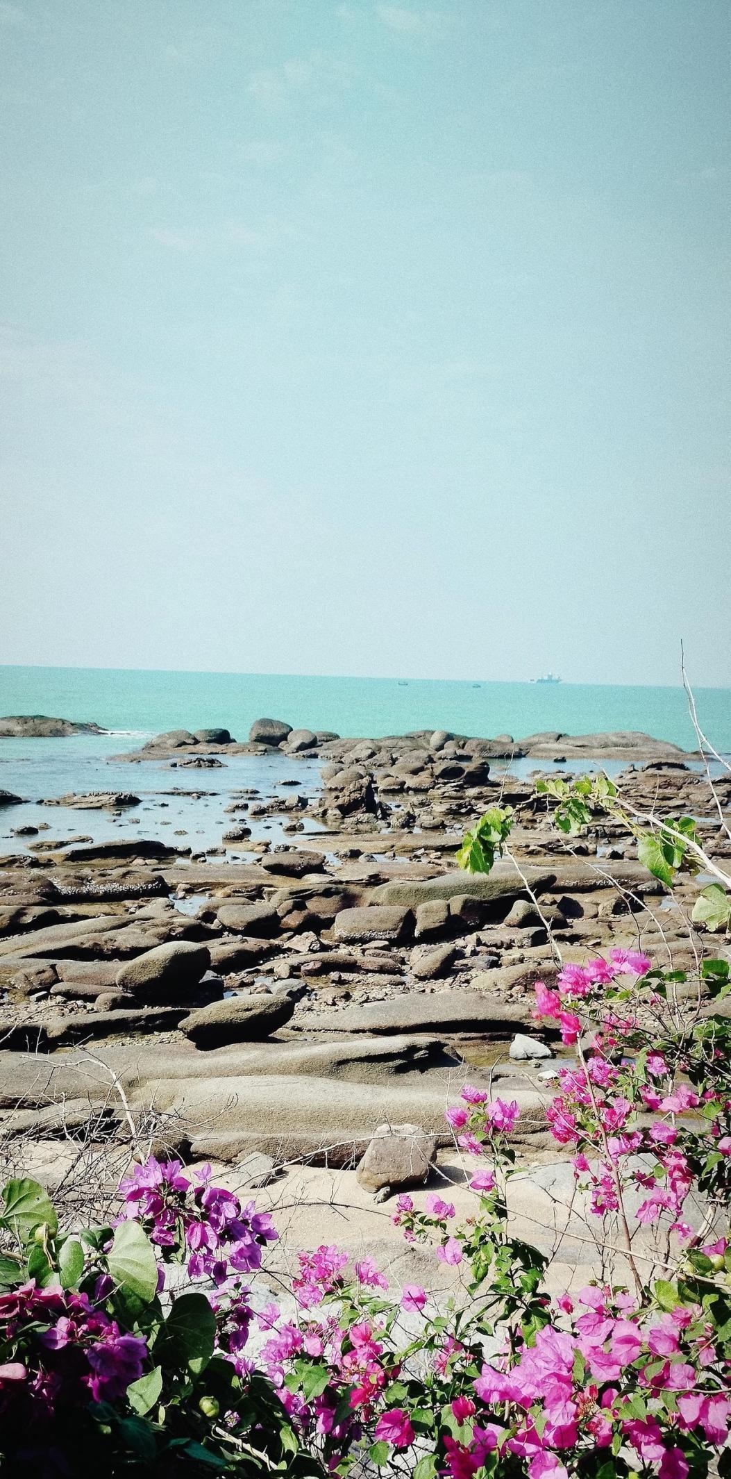 在海南待了3个月，临走前我才发现，所有人都买错了特产。鲜椰子、活海鲜，你根本带