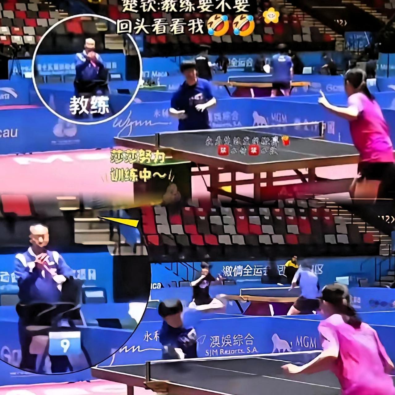 头哥选位置我是服气的！昨天训练又悄悄挨着莎莎，结果直接给关指导创造了拍莎莎的