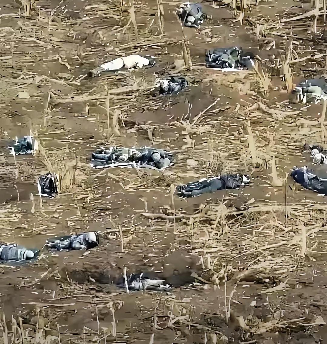 最近听说战场上好多死伤的人，有专业兵也有普通百姓，老师、工人什么都有。尸体没人管