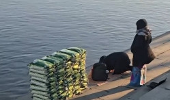 #佛教协会对放生大米深感不解#【放生大米？中国佛教协会：深感不解】12月12日，