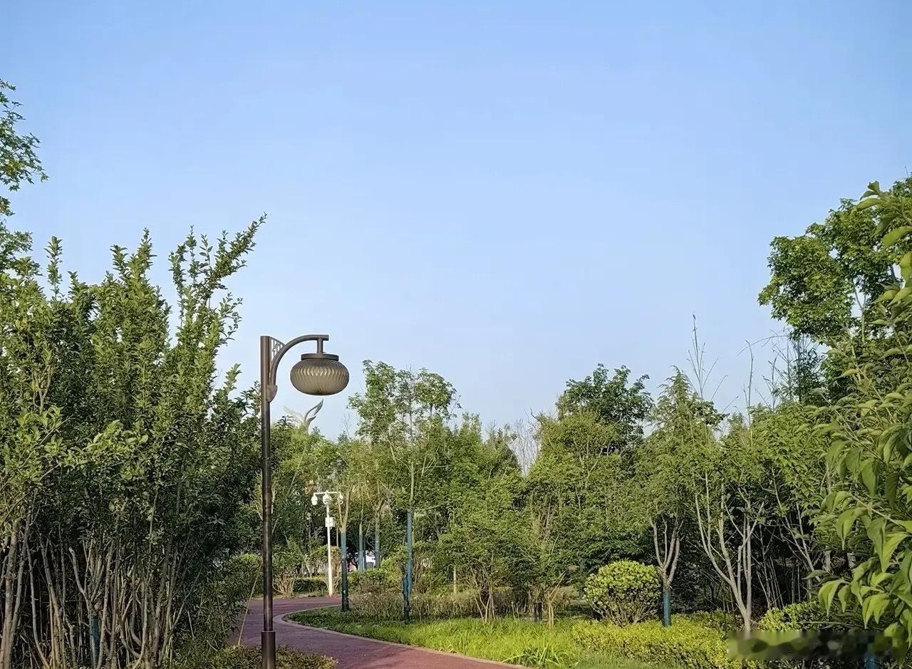 缩量十字星，明天是上涨，还是下跌呢？不废话，直接说答案！​今在5日线之上窄幅整理