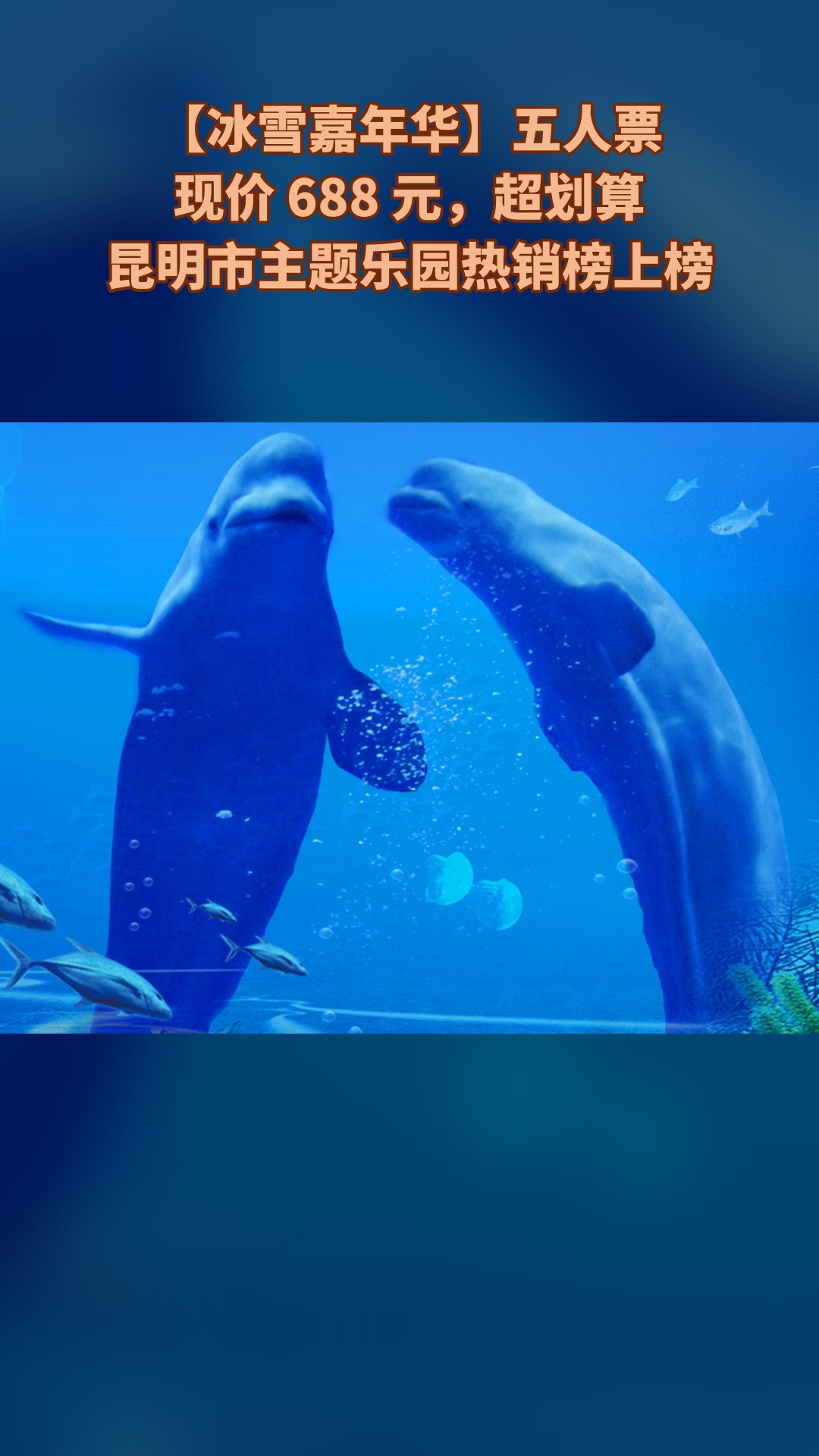 冰雪海洋世界，新鲜上架，别错过，4.3分推荐，【冰雪嘉年华】五人票