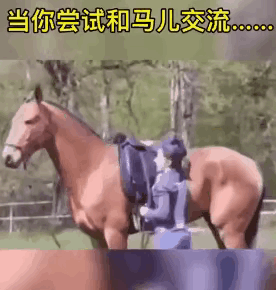 小姐姐的意思马儿理解是理解了，只不过是方向弄错了。