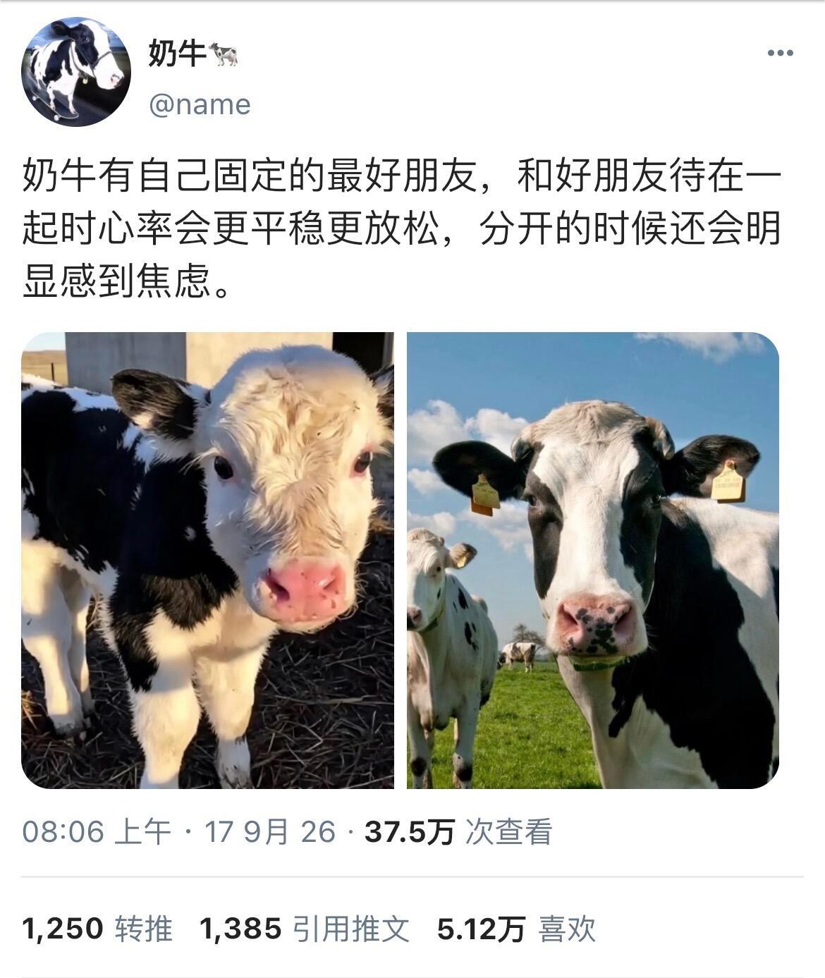 一些小动物们的，小众萌点[爱心]​​​