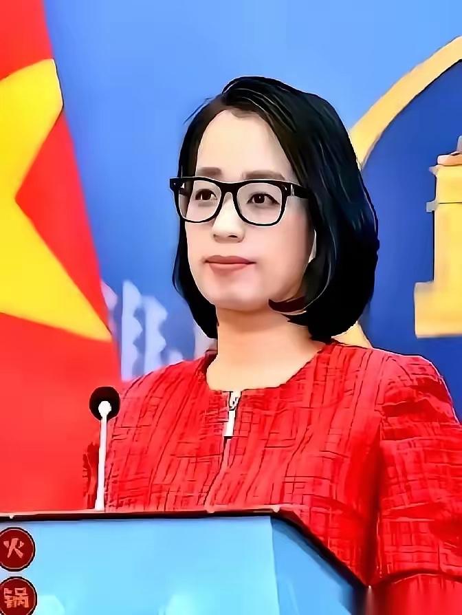 越南外交部发言人话音刚落，重申西沙是他们的。这话刚出口，自家柜子里一份195