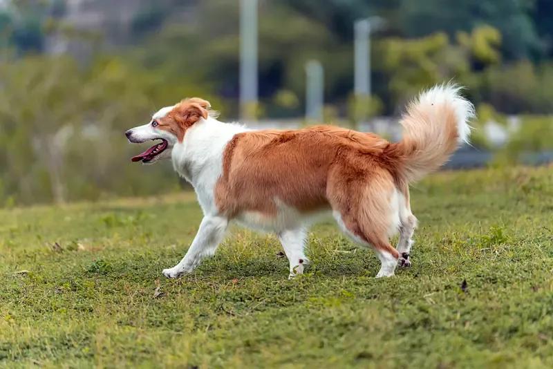 今天和老公吵架了狗洗澡花100骂了我一顿说赚钱不容易心疼洗澡今天和老