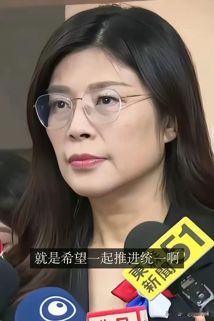 郑丽文放话“收拾民进党”：从绿营走出的她，真能逆转战局？郑丽文说“上任后第