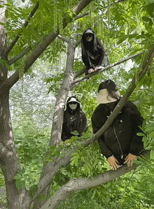 哈哈哈，啥鸟我都见过，就是没有见过这么大的鸟！[捂脸哭]