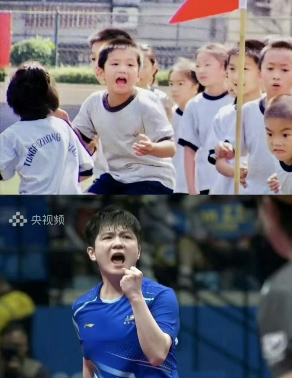 从吴敬平早年埋下的技术伏笔，到樊振东在海外联赛的主动精进；从赛场上不断进化的反手