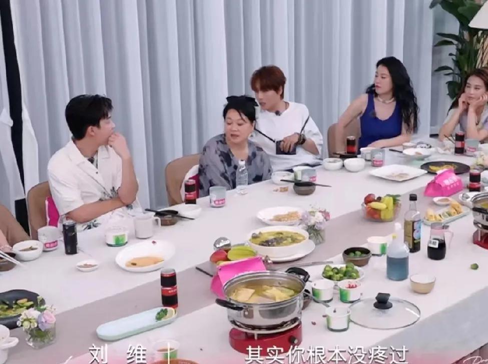 陈梦说自己从小挨了很多顿妈妈的打，刘维：“有没有可能你妈妈打你，你都没疼过？都是