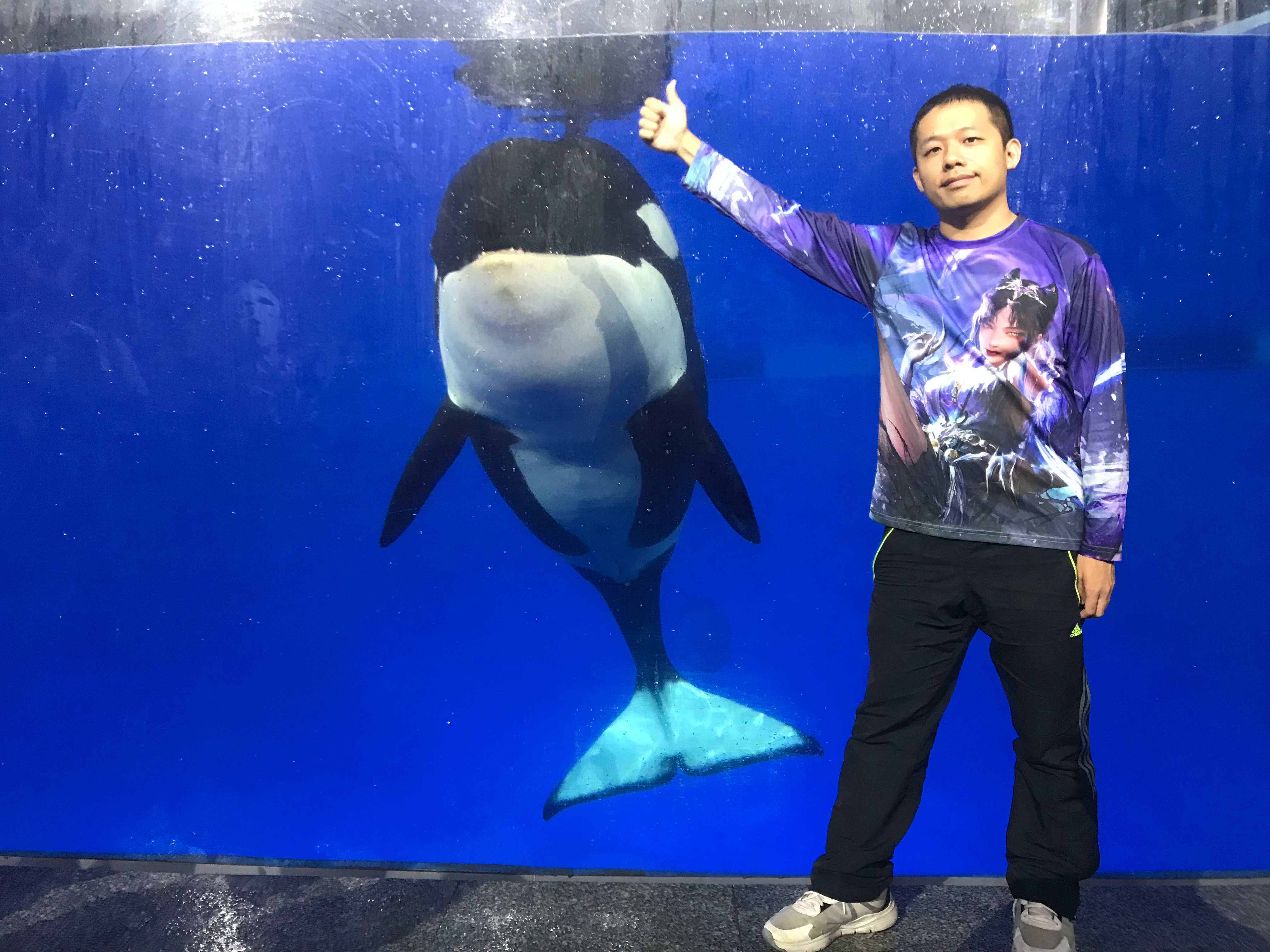 水族馆和海昌的虎鲸合了个影，不过个人还是想去野外拍摄野生虎鲸，开始怀念五年前在北海道知床半岛的罗臼那