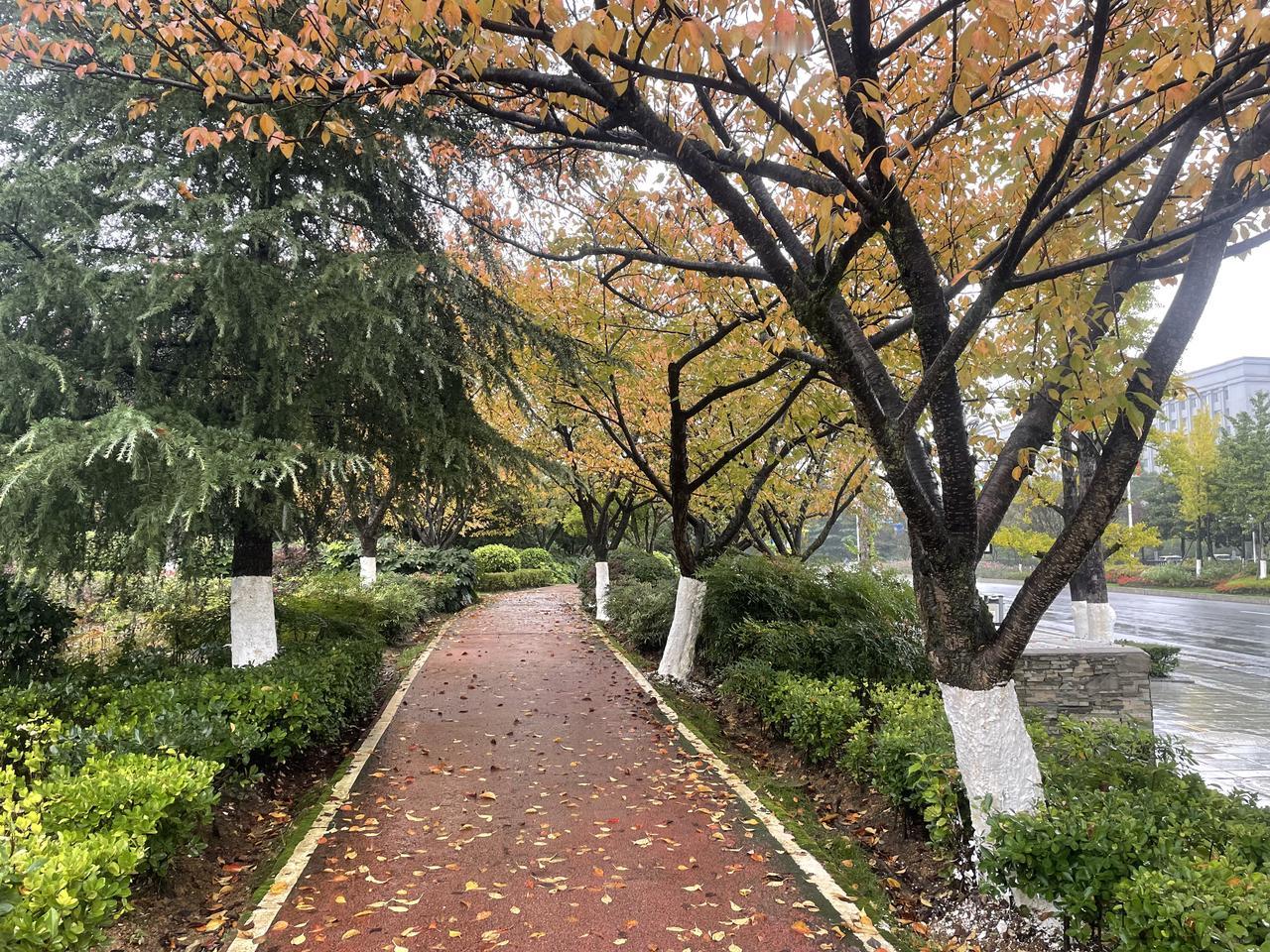 今天我怼了我们集团人事行政部老总确实没有忍住，这个人感觉就是个