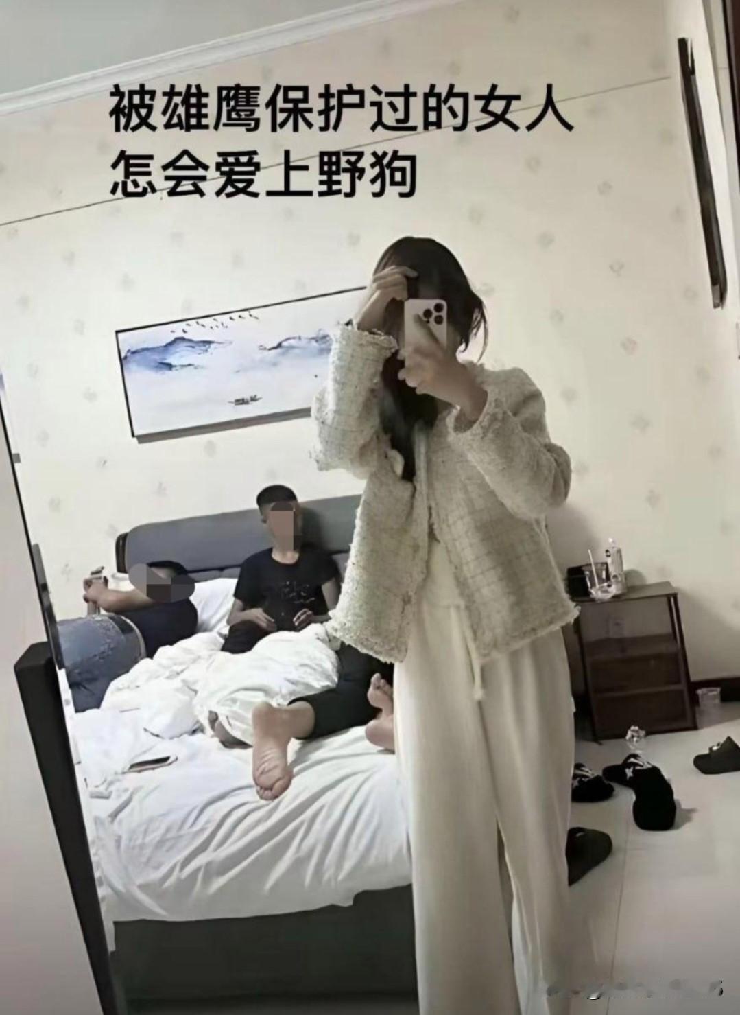 来来来，麻烦这位“大仙儿”解释解释，啥是雄鹰？啥又是野狗？
