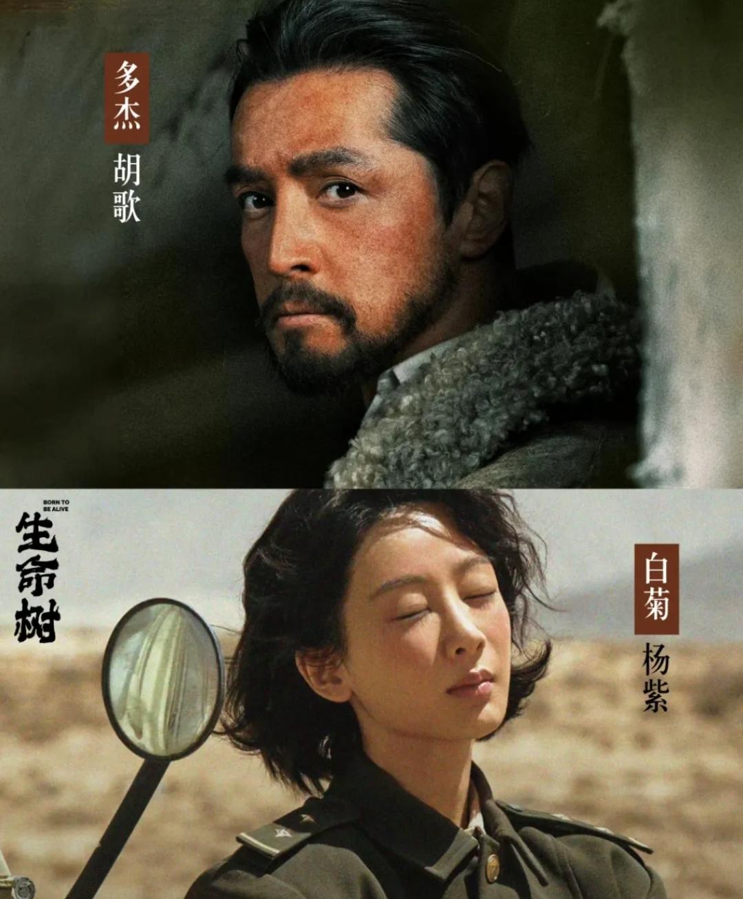 胡歌加杨紫，强强联合的招商能力有多强？《生命树》才不到一天的开播时间，招商的