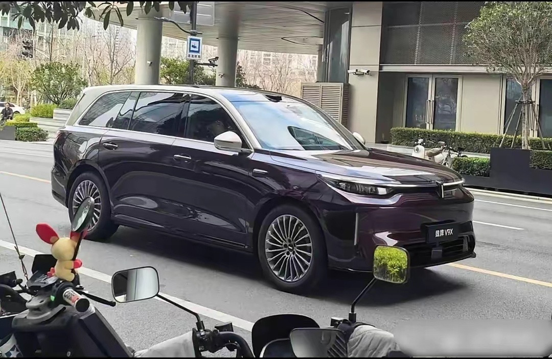 魏牌旗舰V9X，看上去不错。